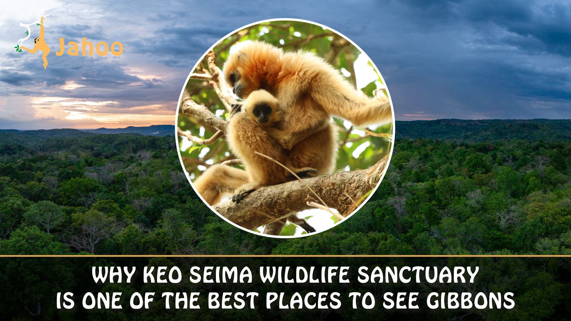 孤島の聖域  Sanctuary　LEB Keo Seima Wildlife Sanctuary, Mondulkiri | See Gibbons